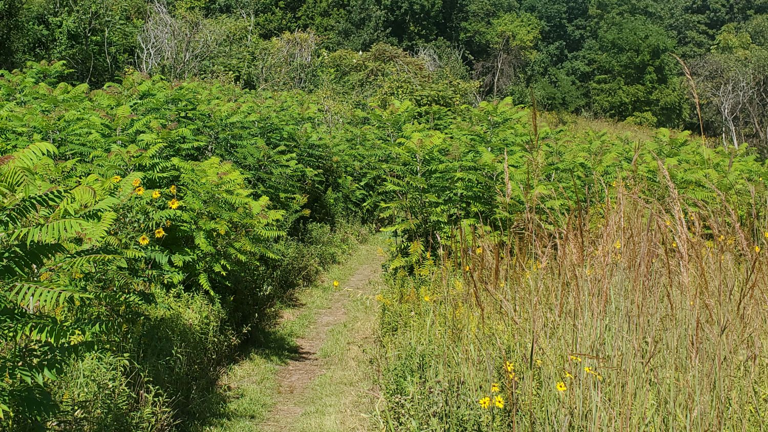 James O'Breen Nature Area 